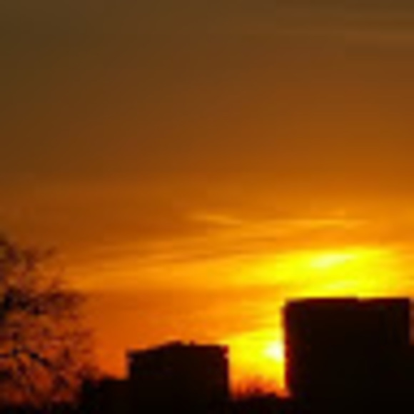 Meet your Posher, Victor - Picture 1 of 1